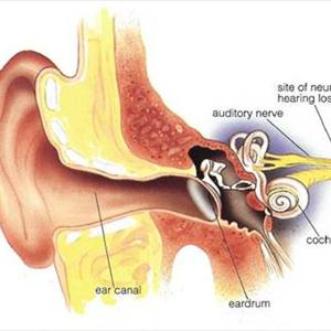 Lipoflavonoid For Tinnitus - Pulsing Tinnitus - What Causes This Tinnitus Type?