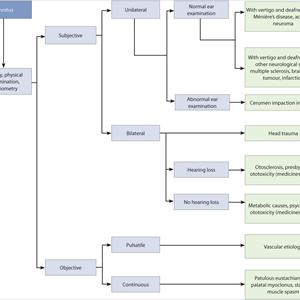 Tinnitus Message Boards - Basically What Is Tinnitus?